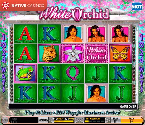  play white orchid slots online free